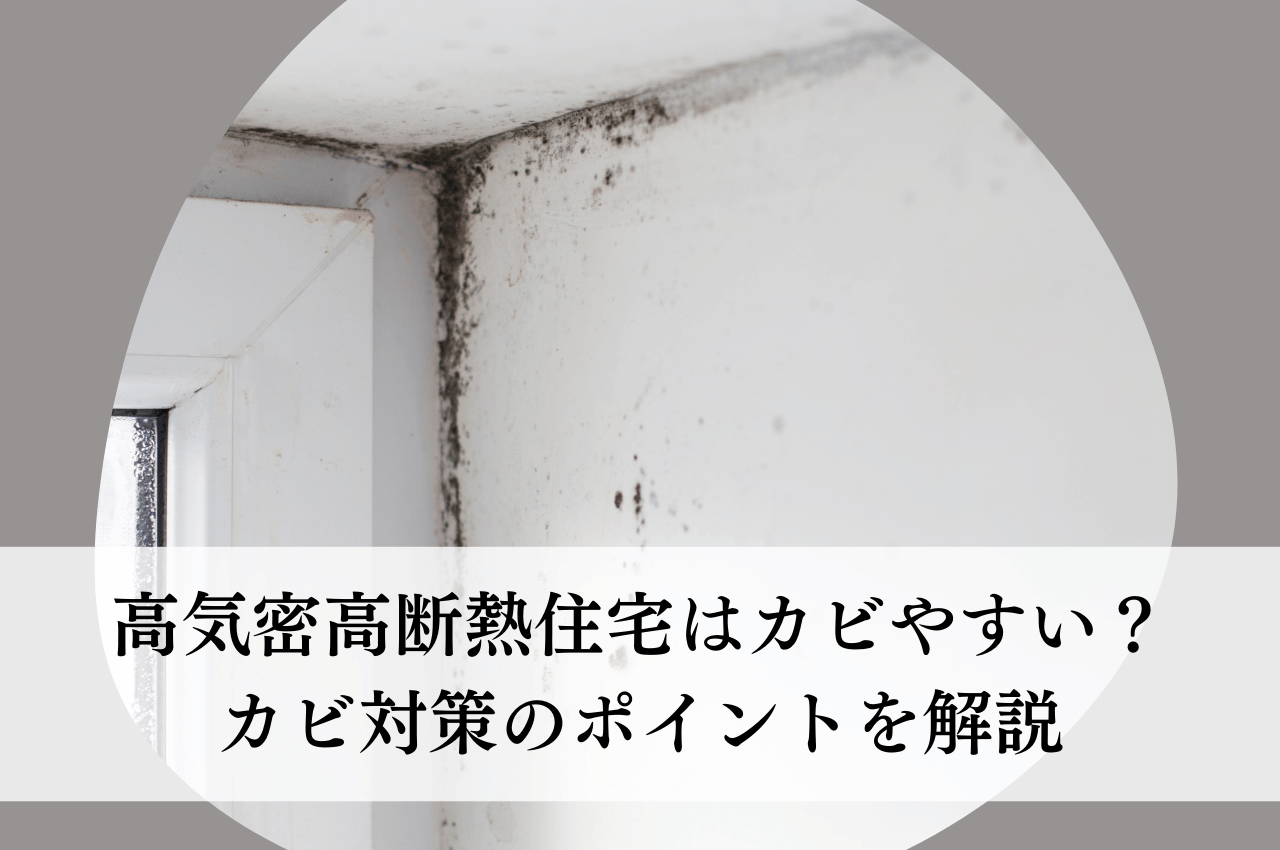 高気密高断熱住宅はカビやすい？カビ対策の重要ポイントを解説